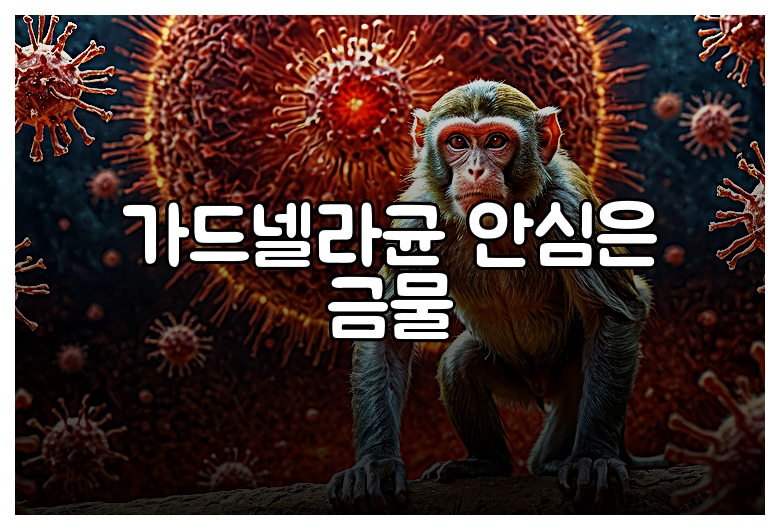 가드넬라균 안심은 금물