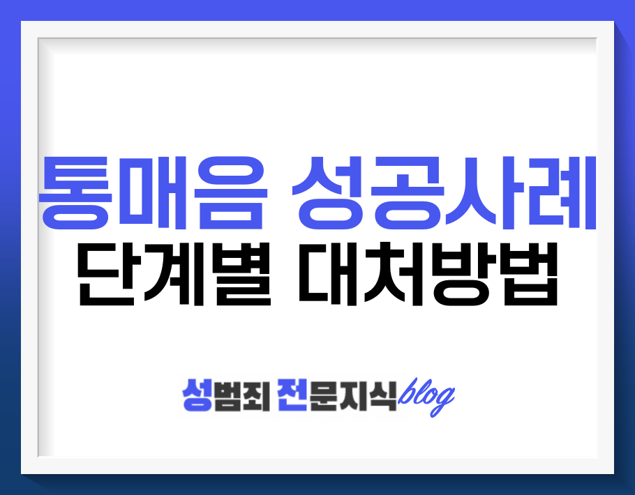  통매음 불송치 (혐의없음) 성공사례 및 수사단계 별 대응방법