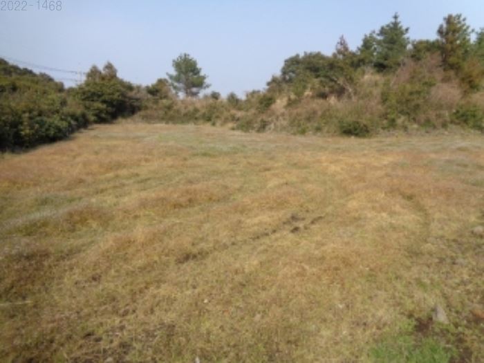 제주도 토지경매 임야경매 서귀포시 11