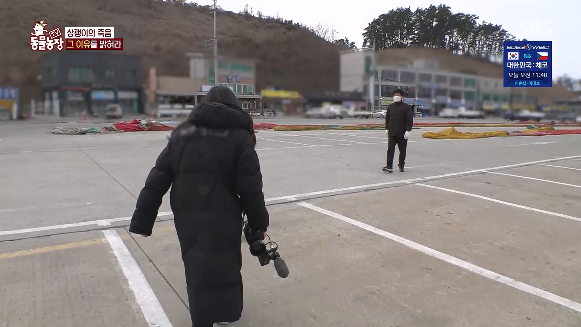 TV 동물농장.E1111.230312p.H264-F1RST.mp4_20230312_180007.320.jpg