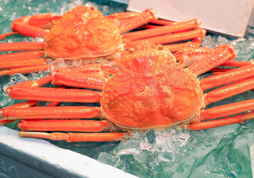  홍게 택배 주문 박달홍게