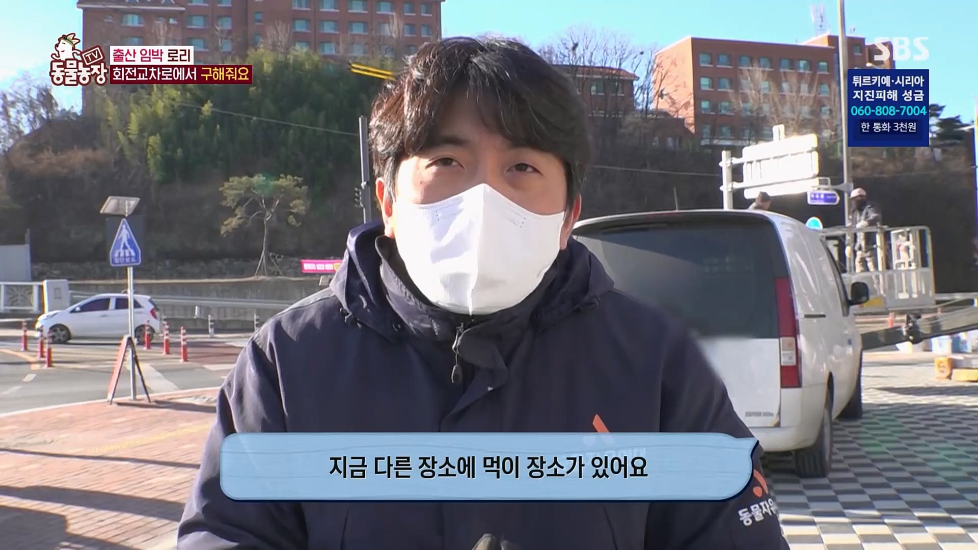 TV 동물농장.E1109.230219p.H264-F1RST.mp4_20230219_142849.416.jpg