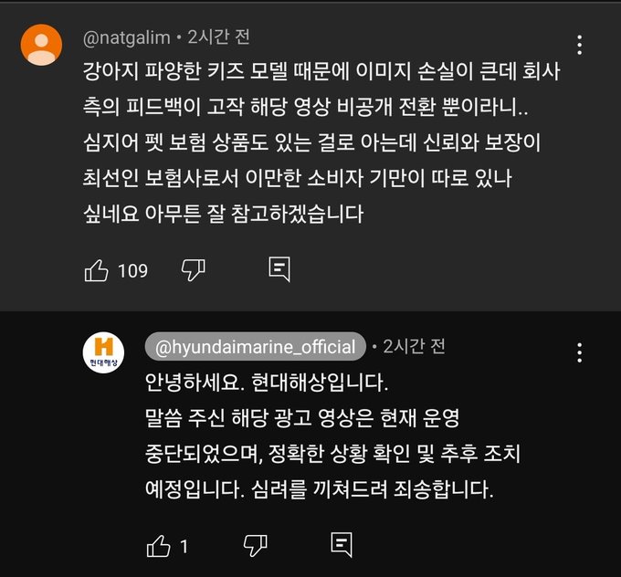현대해상 키즈모델 엄마 시바견 동물학대 파양 논란 12