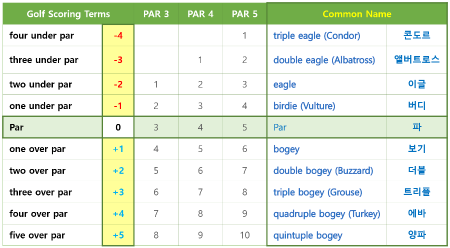 ④ 골프 스코어(Golf Score)