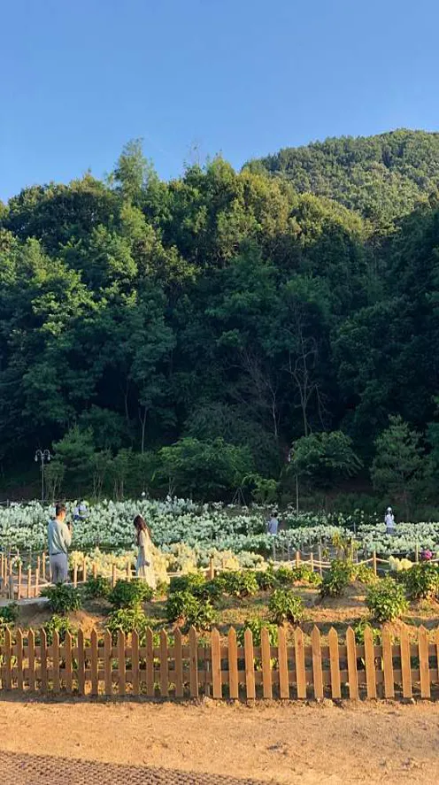 프레이밍
