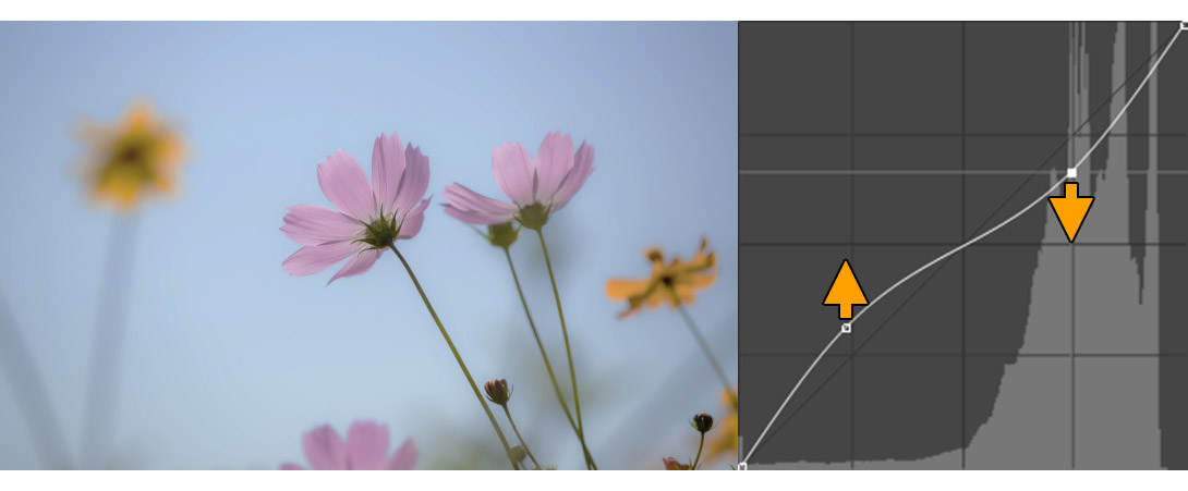 대비를 약하게 만든 모습