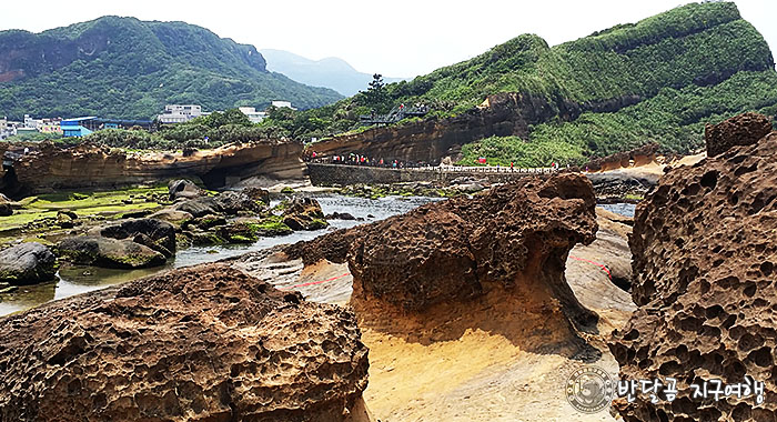 반달곰 지구여행 - 대만 타이페이 예류지질공원&#44; Yehliu Geopark