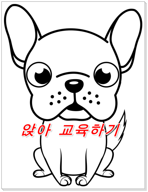  개훈련 ~앉는 방법
