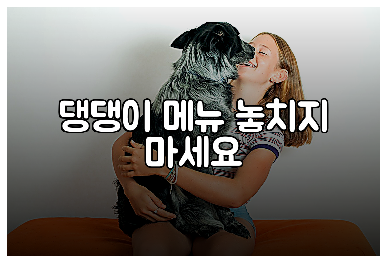 댕댕이 메뉴 놓치지 마세요