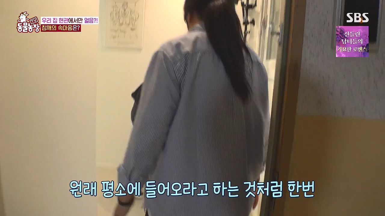 TV 동물농장.E1177.240624p-NEXT.mp4_20240623_163801.895.jpg