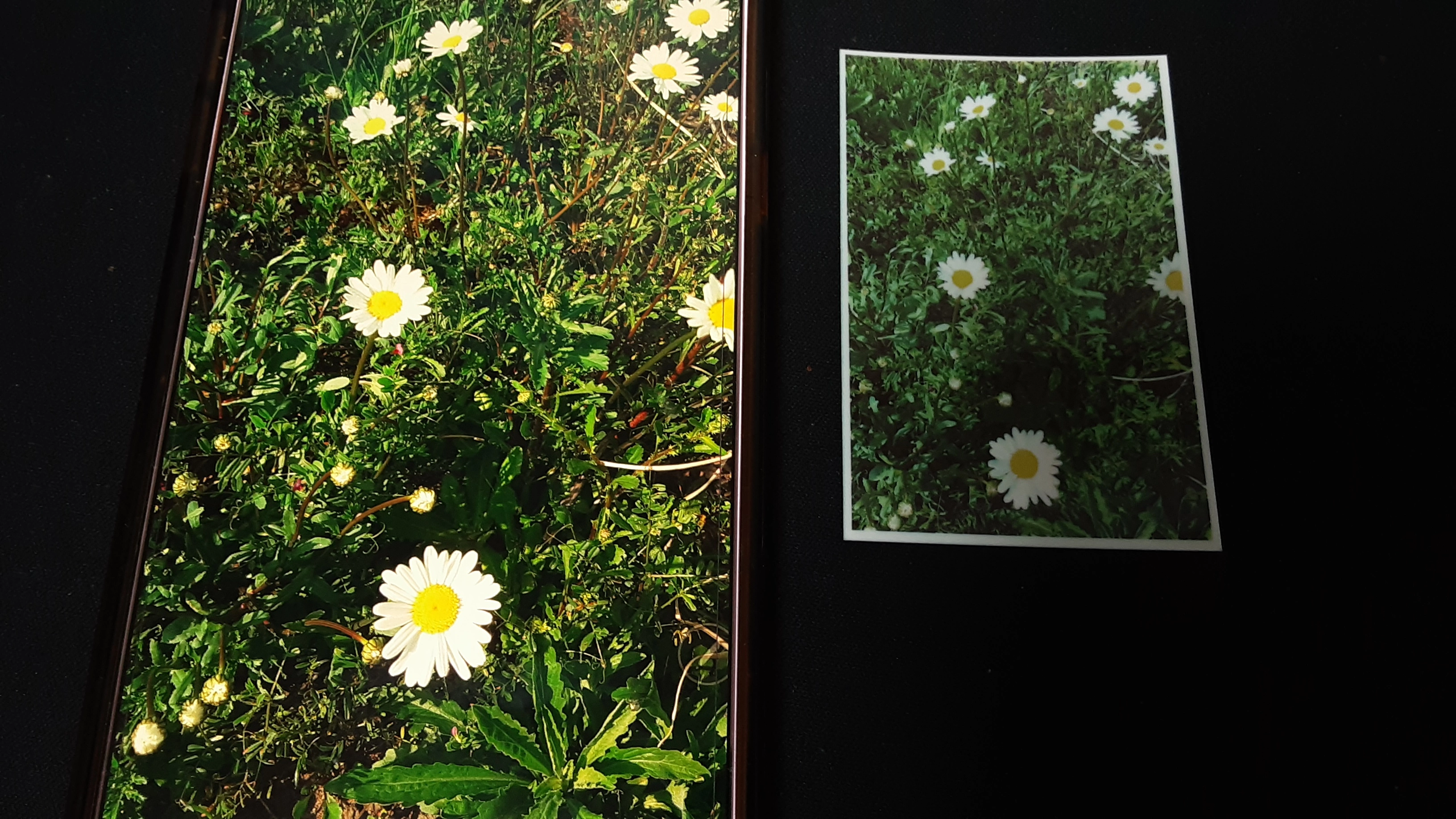 샤오미 포토프린터 사진인화 완료