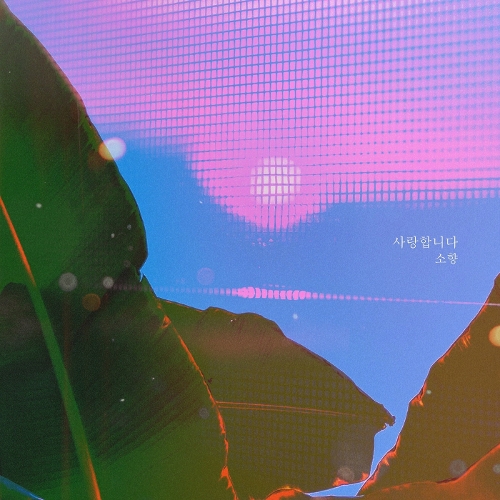  소향 (김소향) 사랑합니다 듣기/가사/앨범/유튜브/뮤비/반복재생/작곡작사