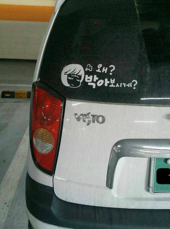  가짜광기 vs 진짜광기