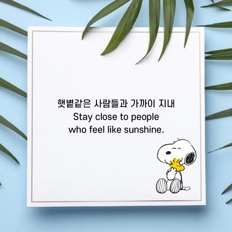 영어 명언 모음 좋은 글귀 일러스트 이미지 추천_3