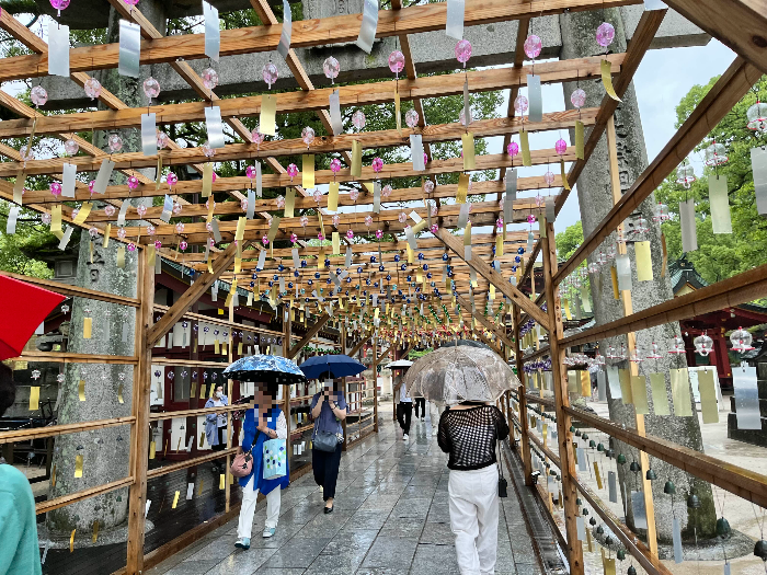 청아한 소리의 풍경들