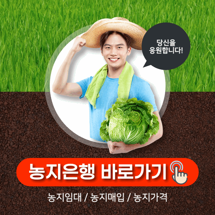 아로스 팝업
