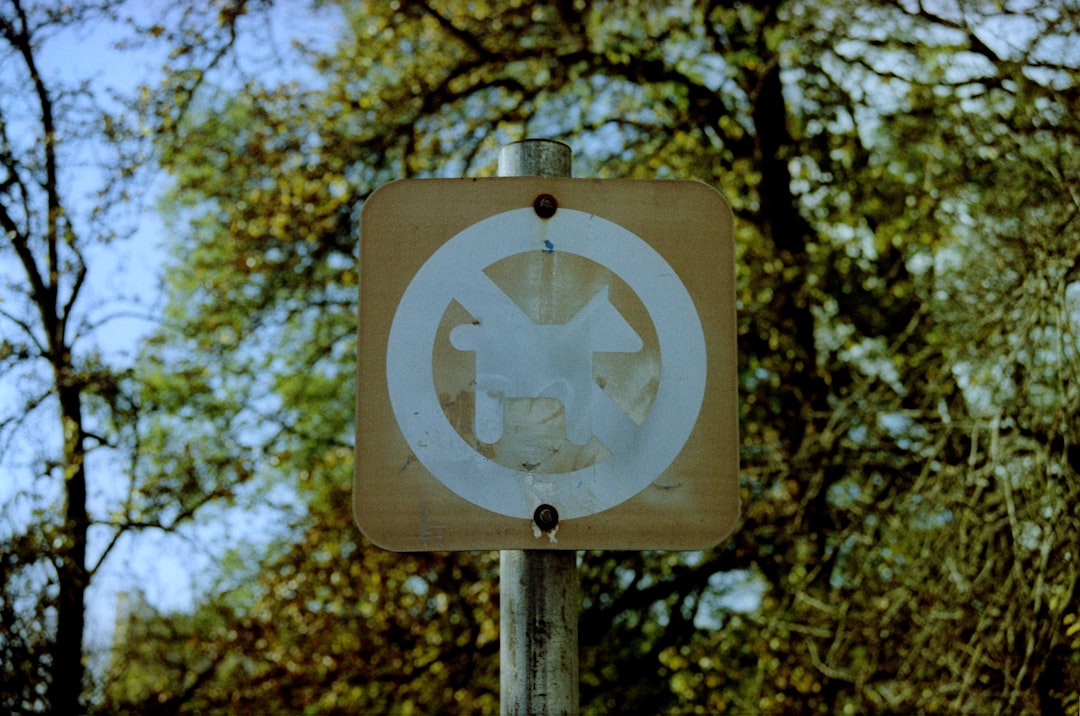 'Used'