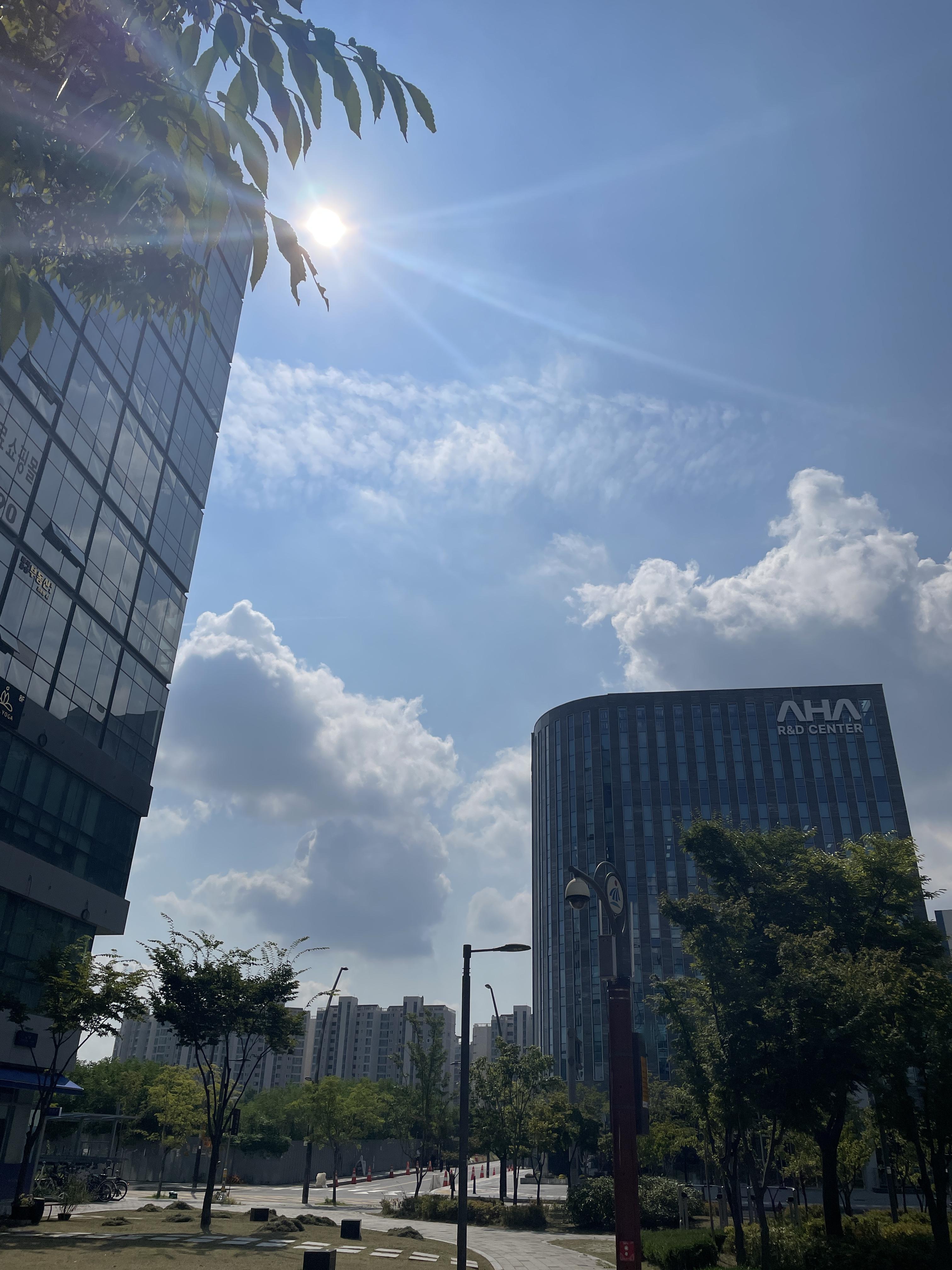 바른초밥 이미지