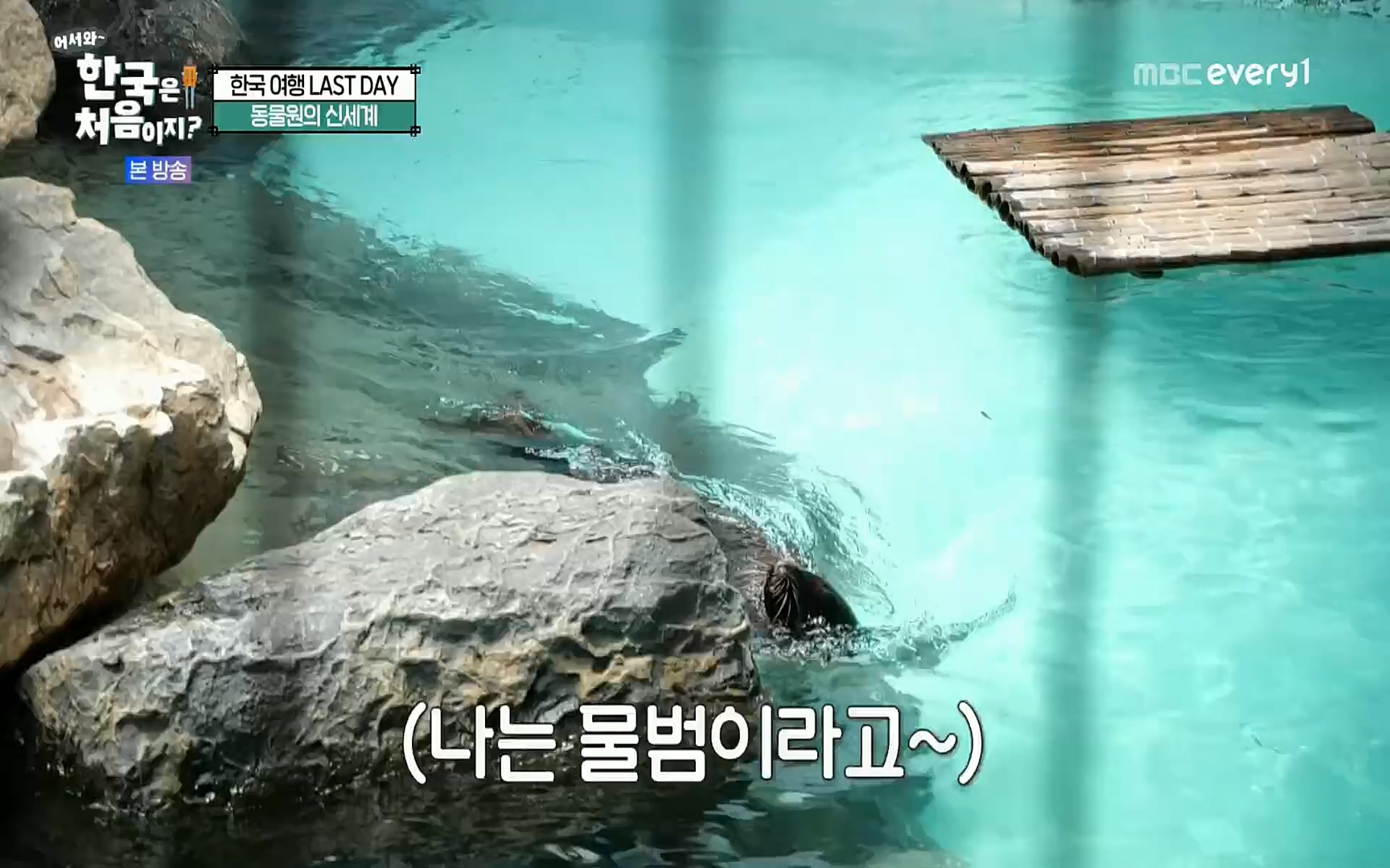 어서와~ 한국은 처음이지.E259.220901p.H264-F1RST.mp4_20220902_202148.367.jpg