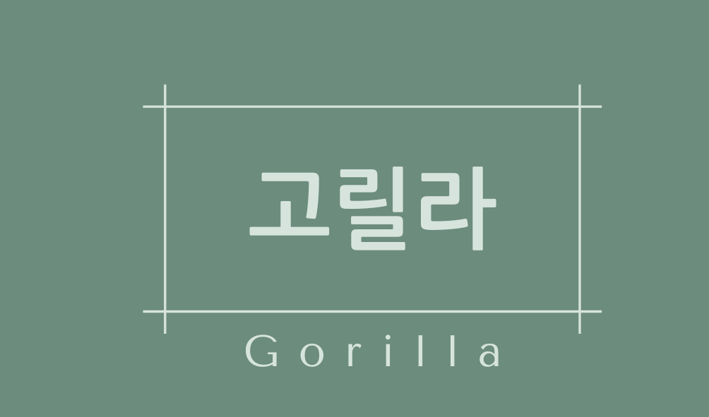 고릴라(Gorilla)