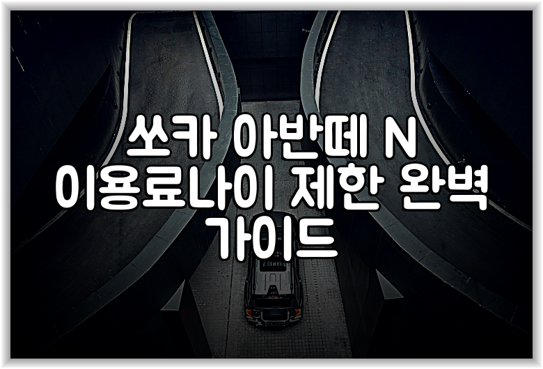쏘카 아반떼 N 이용료나이 제한 완벽 가이드