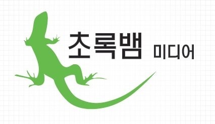  [주식 공부 18일차]방탄소년단(BTS) 관련주 분석 - 초록뱀(2)