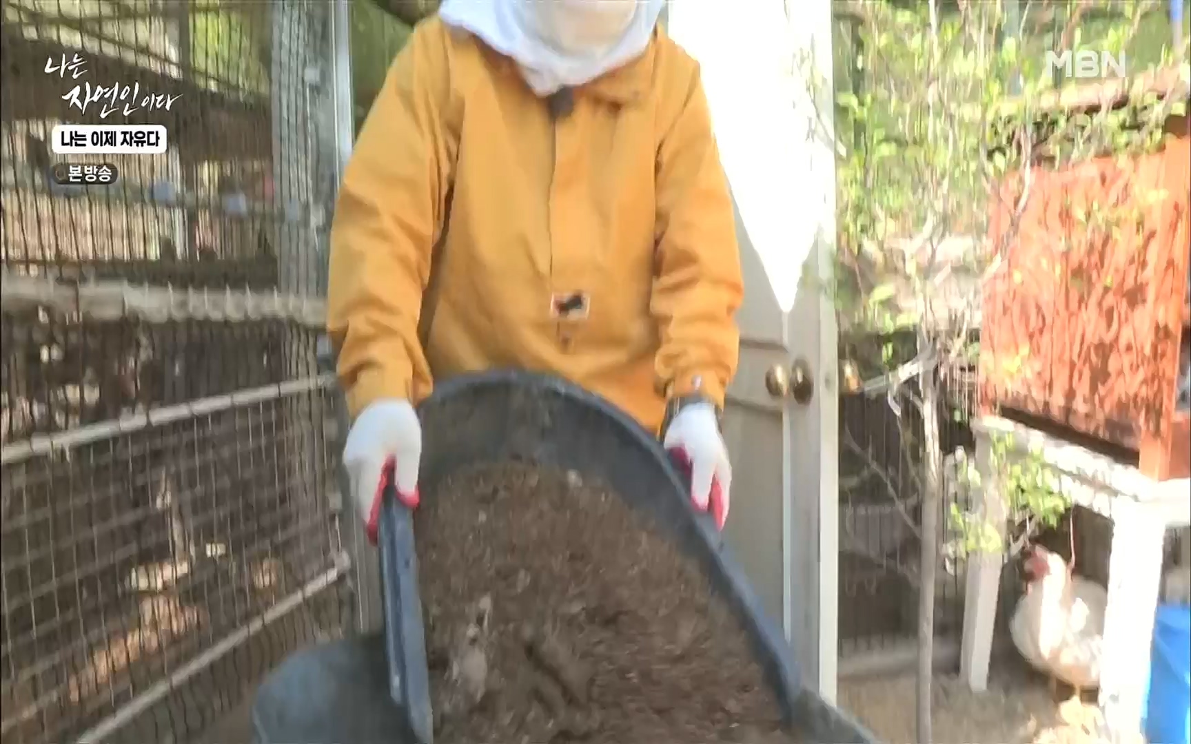 나는 자연인이다.E503.220525p.H264-F1RST.mp4_20220526_201146.571.jpg