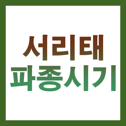 글 썸네일 인포그래픽