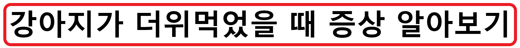 강아지 심장비대증? 우리집 강아지의 상태가 갑자기 안좋아졌다면 심장비대증을 의심해봐야해요!