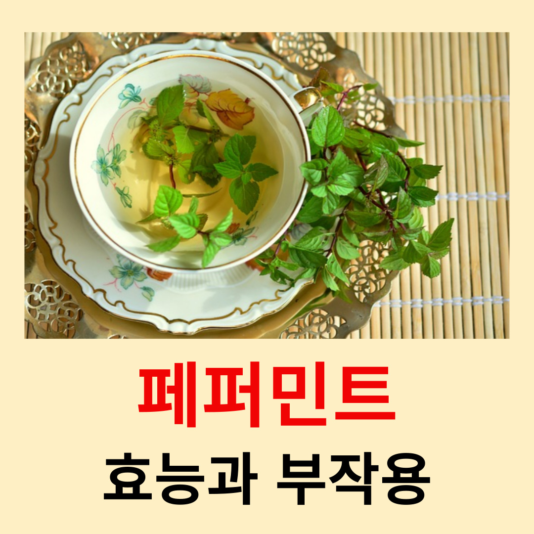 페퍼민트-효능과-부작용