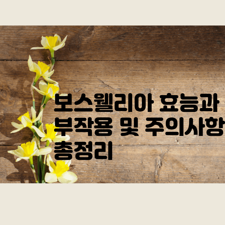  관절 연골 건강에 좋은 보스웰리아 효능과 부작용 및 주의사항 총정리 썸네일