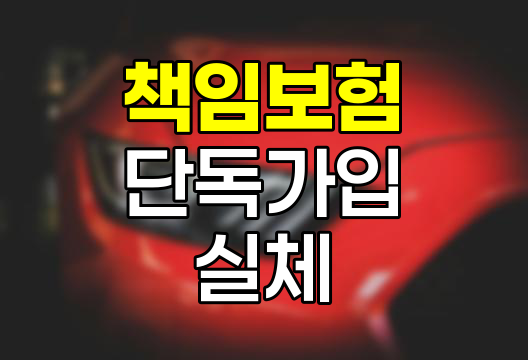 자동차 책임보험 단독가입의 실체와 위험