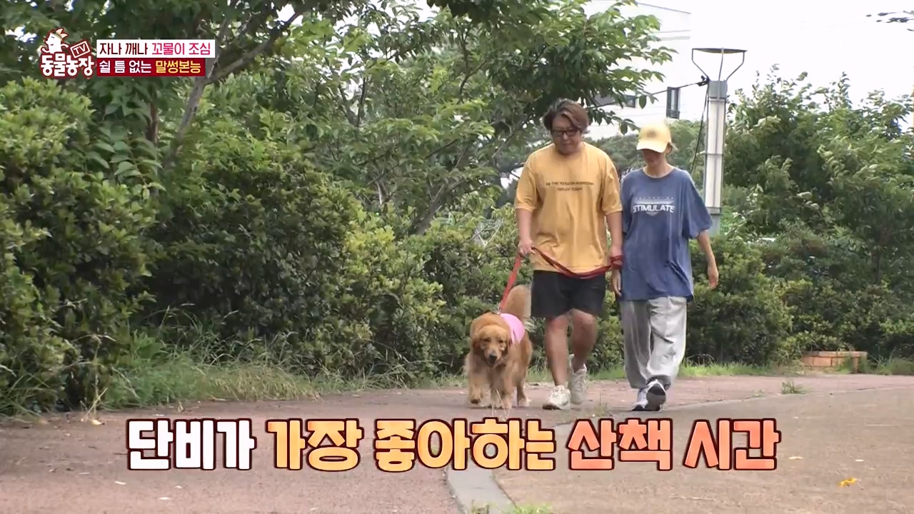 TV 동물농장.E1132.230807p-NEXT.mp4_20230806_164222.698.jpg