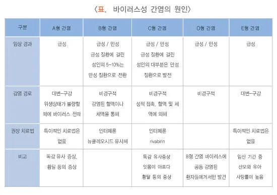 b형간염 바이러스 보유자란