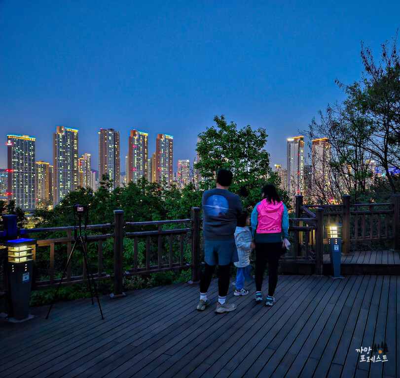 동탄 반석산 밤 나들이