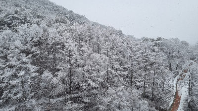 주왕산의 설경