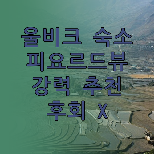 울비크 여행객 필독! 스트란드 피요르