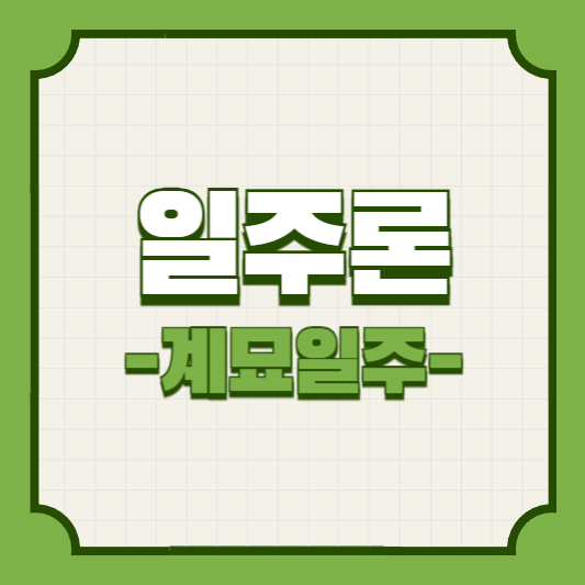 일주론_계묘일주