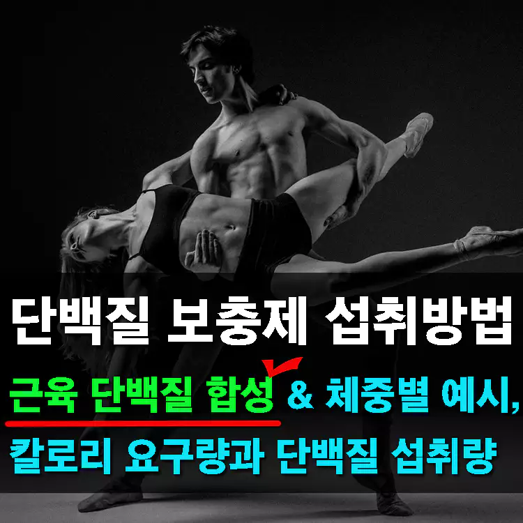 단백질-보충제-섭취방법-근육-단백질-합성-체중별-예시-칼로리-요구량과-단백질-섭취량
