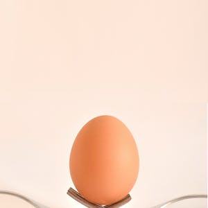 계란-달걀-egg