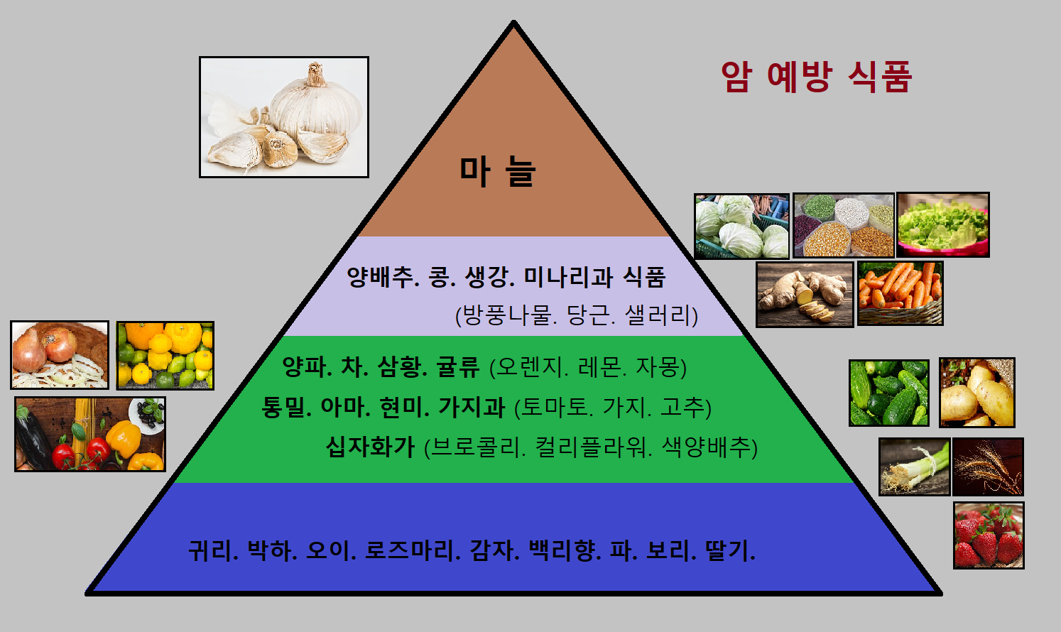  암 예방 식품. 암 예방 음식. 암 예방 식품 리스트.