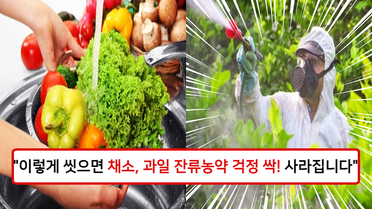 "식약처가 검증한 가장 효과적인 잔류 농약세척법" 농약 걱정 없이 채소 과일을 깨끗하게 세척해 건강하게 드세요!