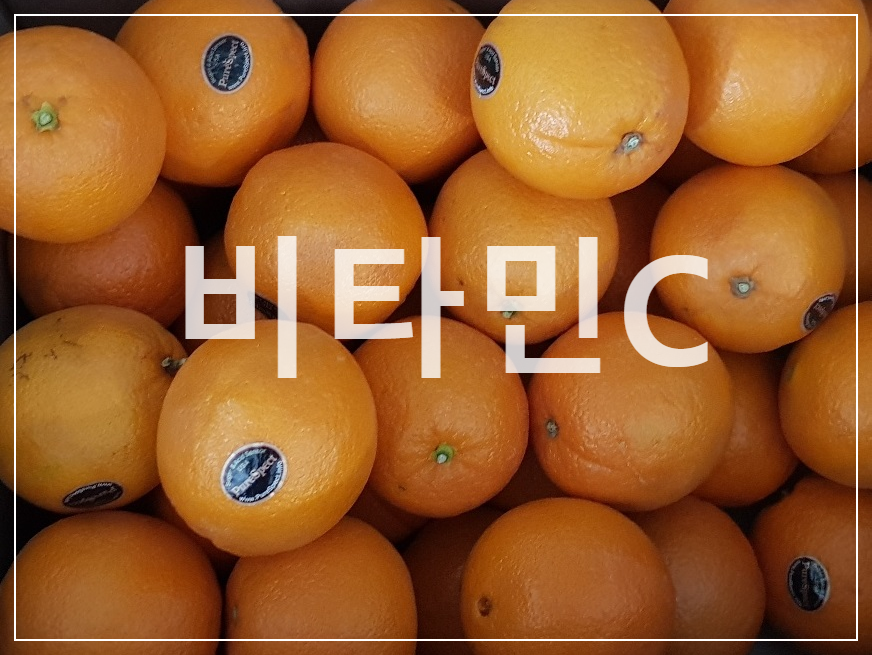  건강에 필수적인 영양소 비타민C