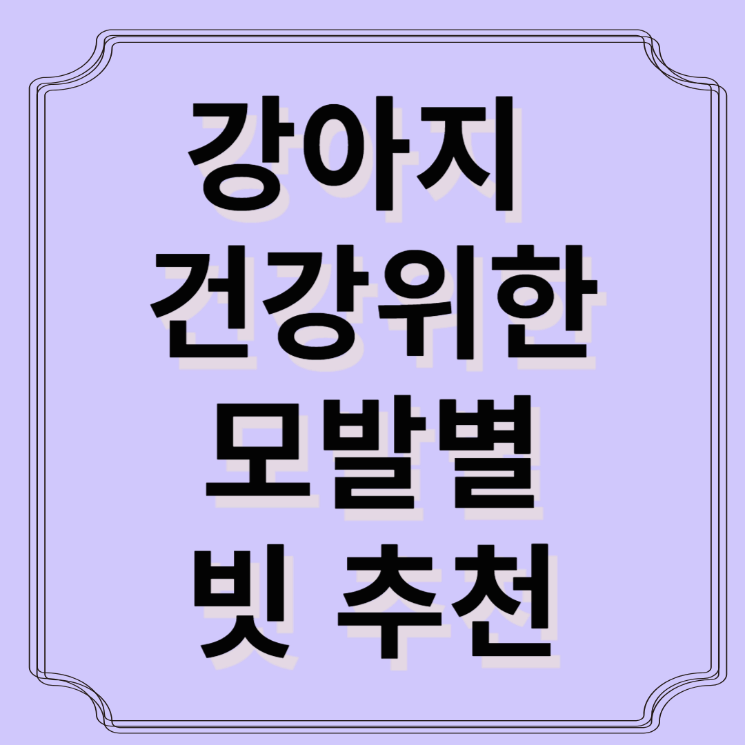 털갈이 하는 우리 강아지 건강을 위한 빗 추천! 잘못된 선택은 건강에 해로울 수 있어요.