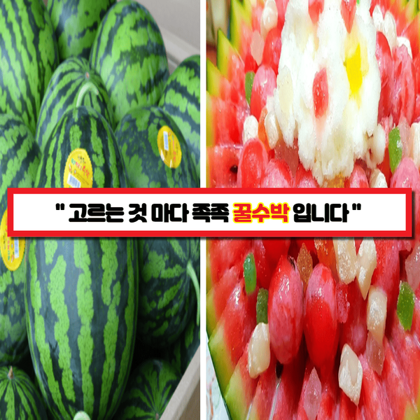  "몇 번을 골라도 전부 맛있습니다." 눈으로만 봐도 200% 꿀수박 고르는 7가지 방법)