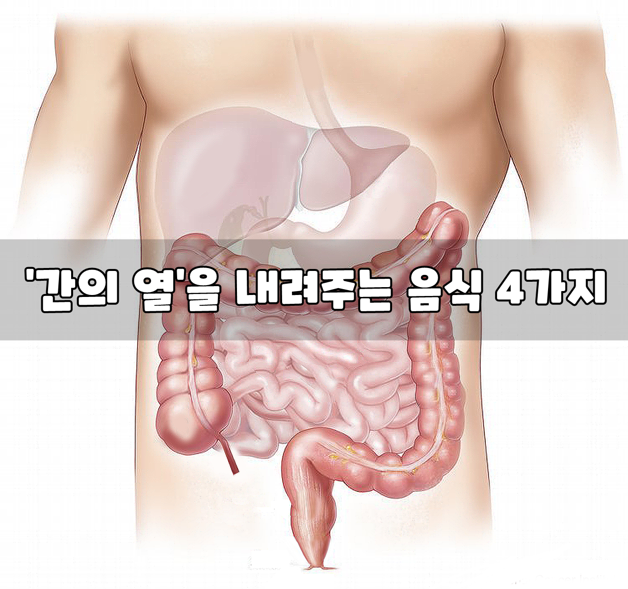  '간의 열'을 내려주는 음식 4가지
