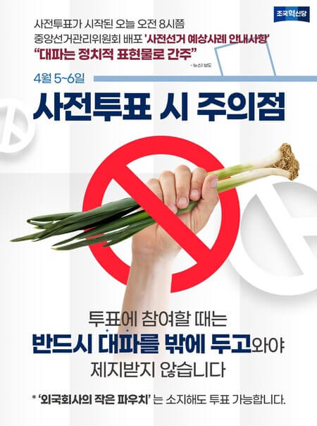 대파금지-조국혁신당