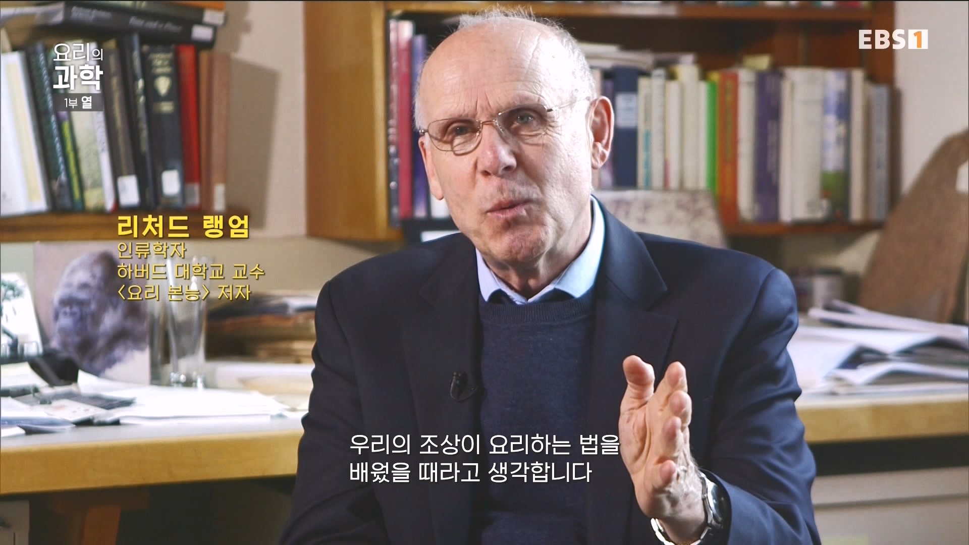 [다큐 스페셜] 요리의 과학 - 1부 열.mp4_20240411_194603.171.jpg