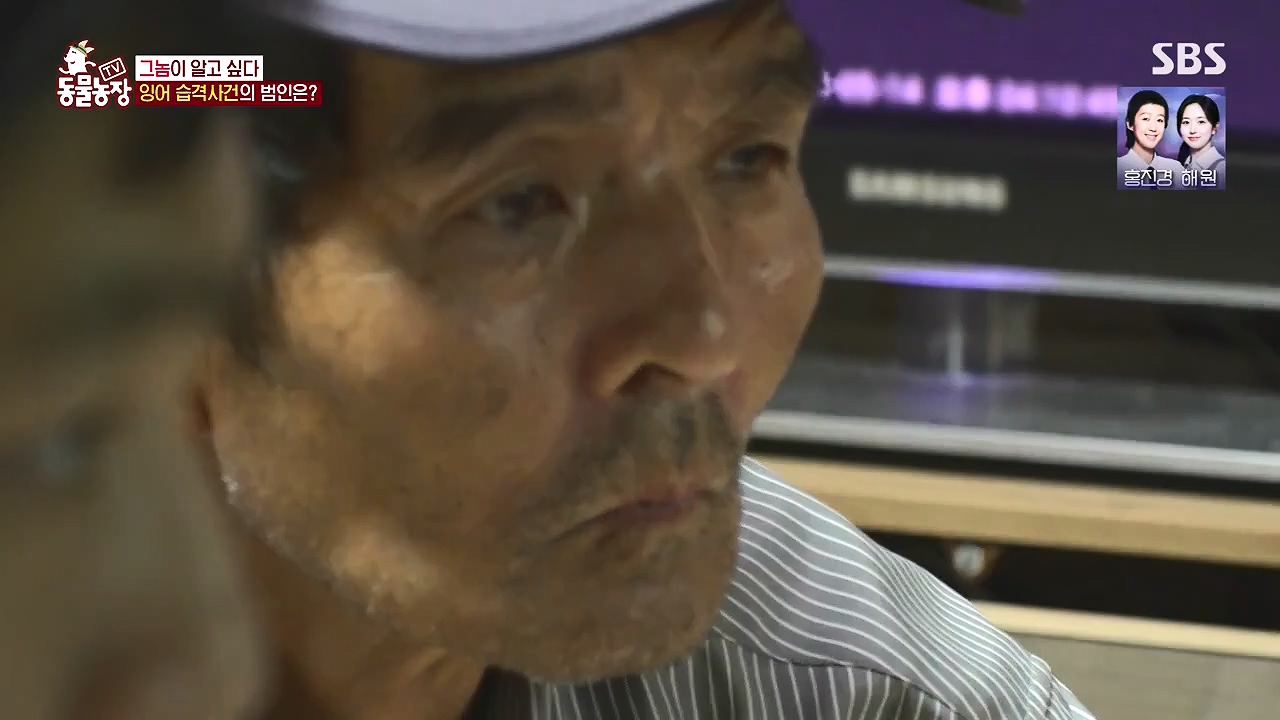 TV 동물농장.E1178.240630.ts_20240630_164647.309.jpg