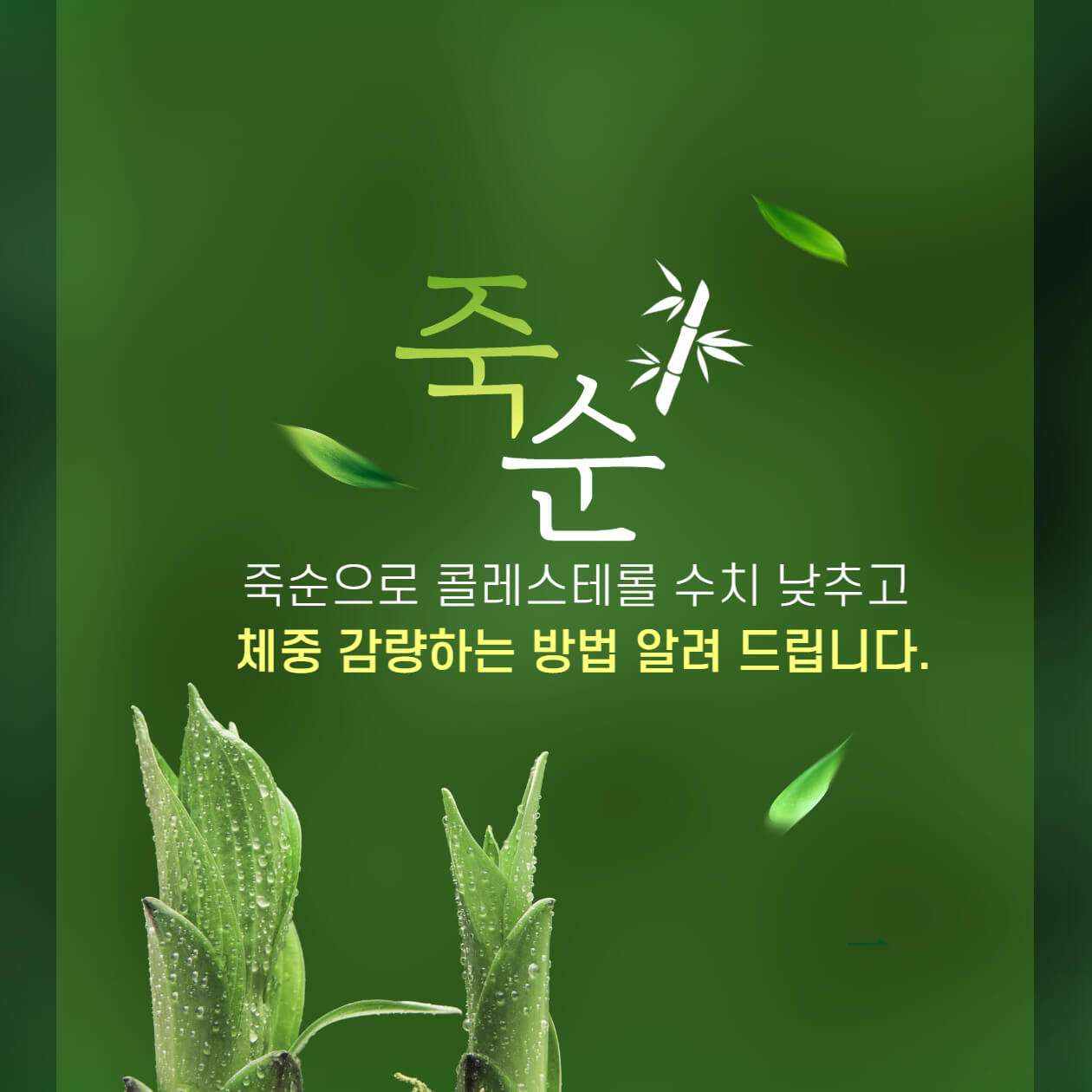 죽순으로 콜레스테롤 수치를 낮추고 체중 감량하는 방법